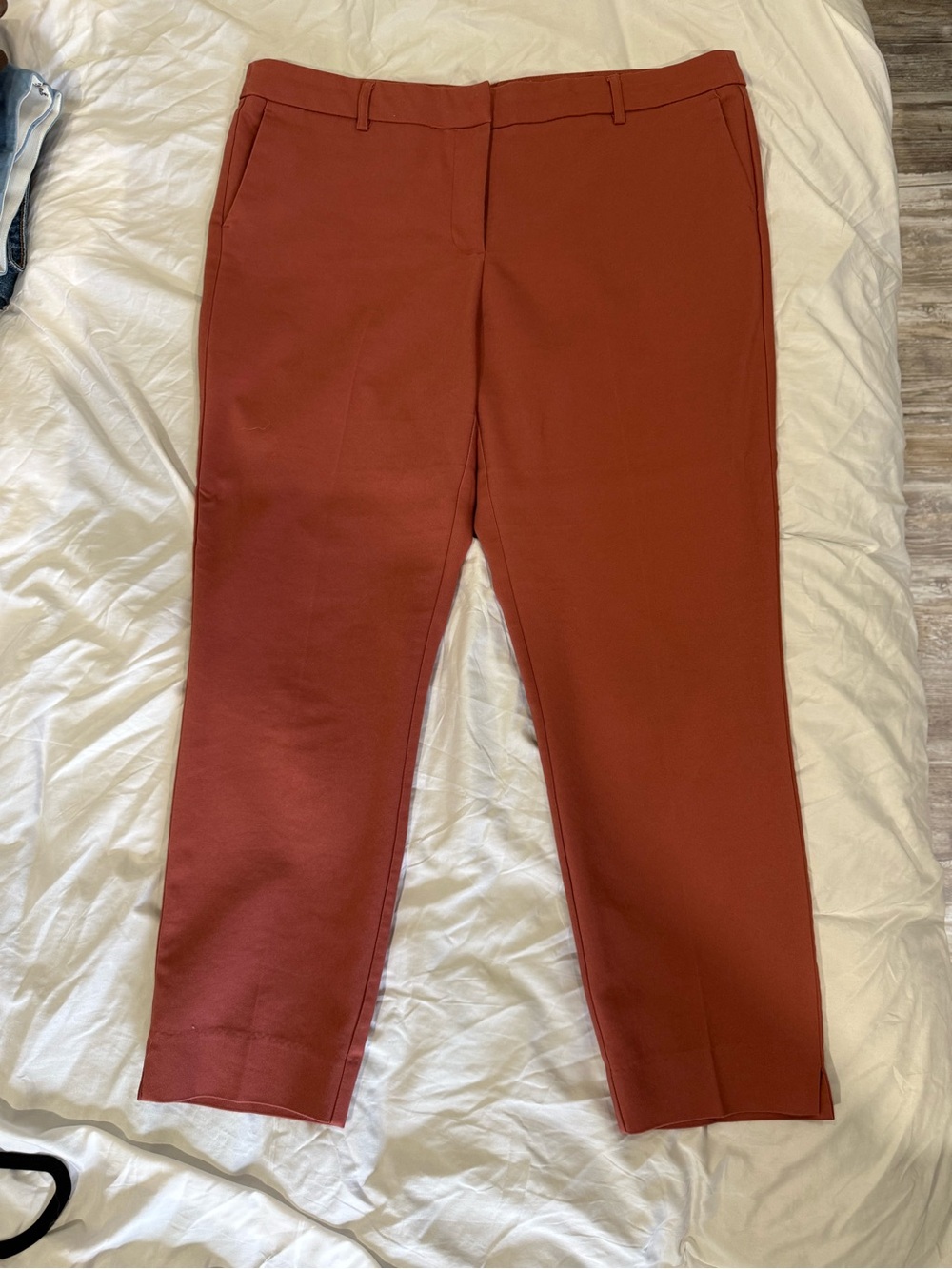 Dalia Cropped Tailored Pants in Rust